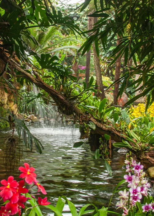 Even in een andere wereld bij Pantropica
